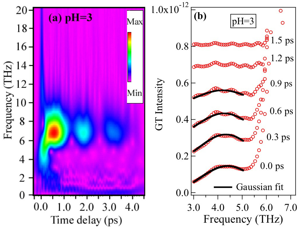 Wavelet