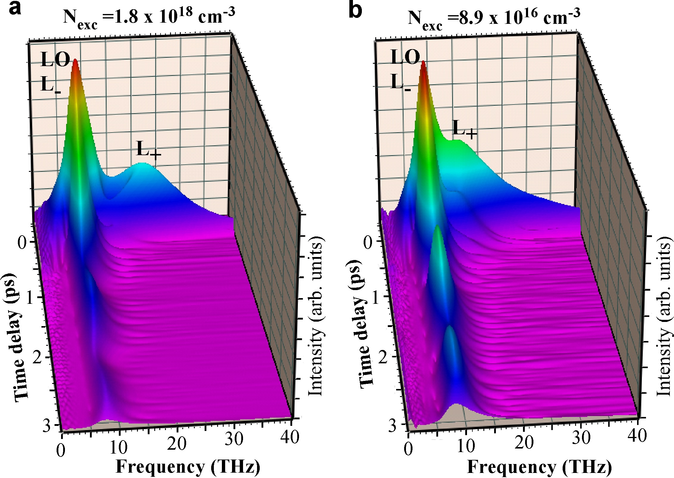 Wavelet